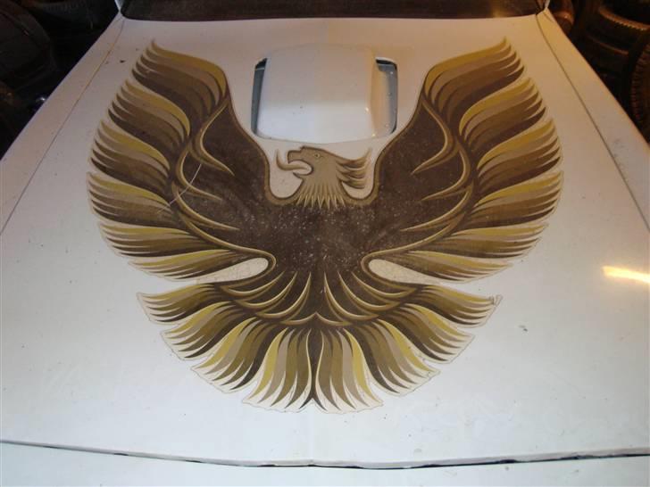 Egeskov Slot billede 75