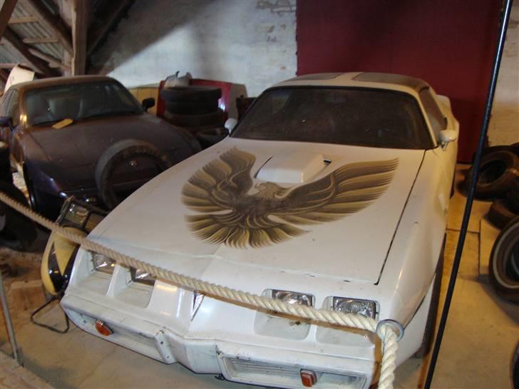 Egeskov Slot billede 76