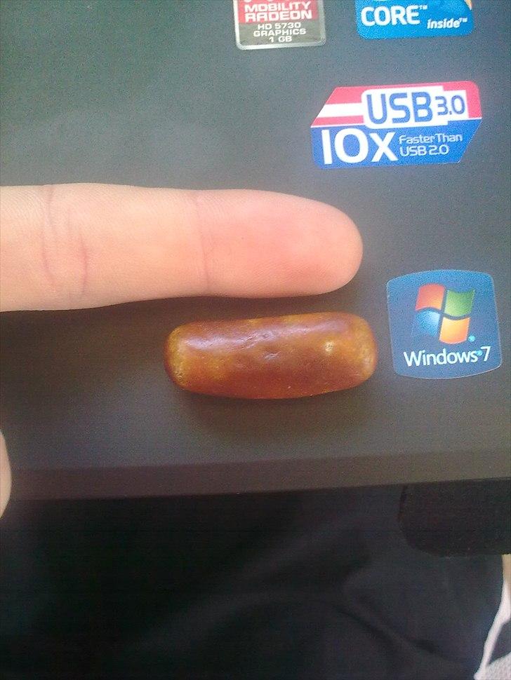 VERDENS STØRSTE LABRE LARVE!!!!!! billede 2