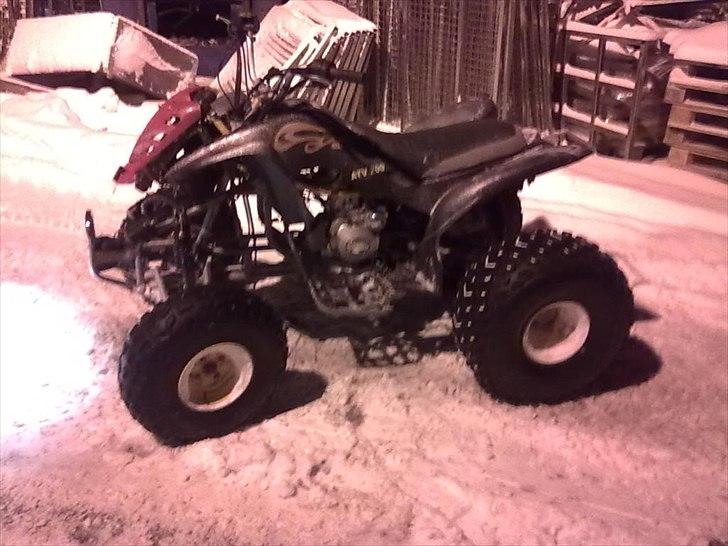 Atv 250cc vandkølet. (vinter legetøj) billede 11