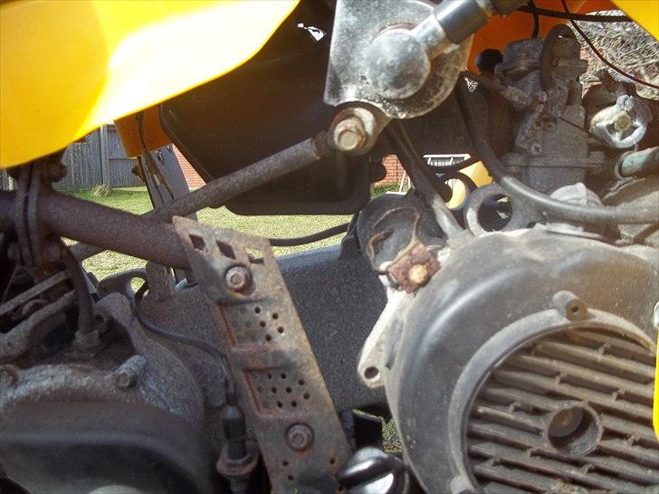 Kazuma Dingo 150 ccm billede 8