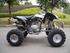 300 ccm atv