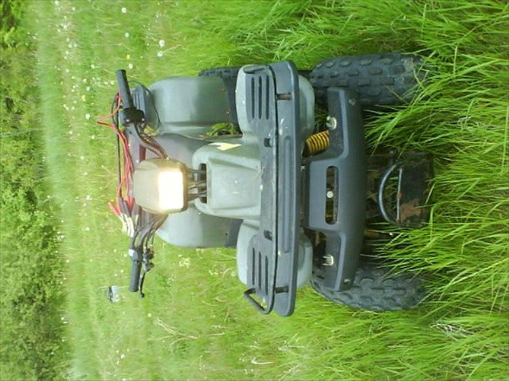 atv 150 ccm leopard fighter  billede 1