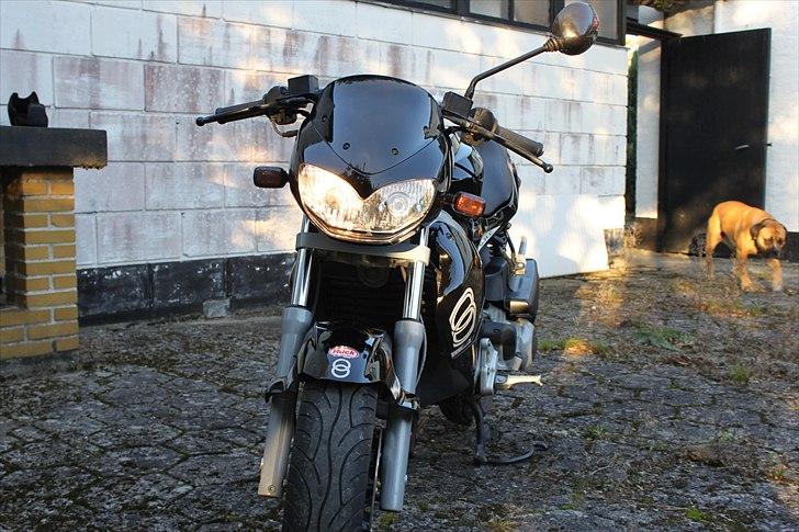 Gilera Dna opdateringsalbum billede 20