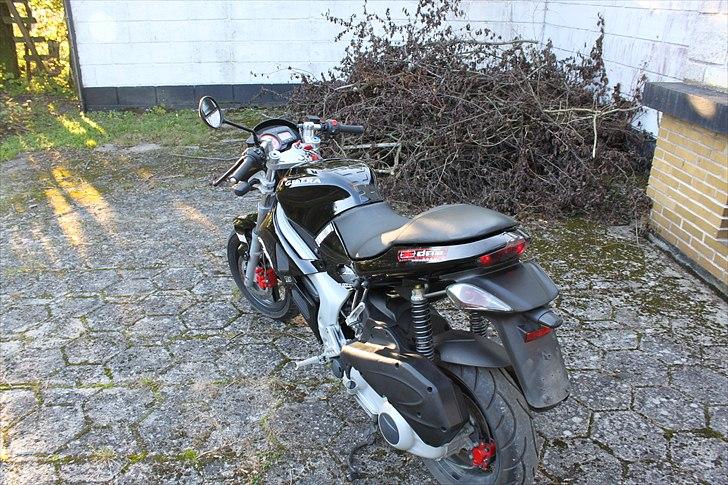 Gilera Dna opdateringsalbum billede 22