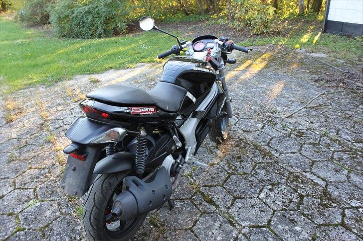 Gilera Dna opdateringsalbum billede 23