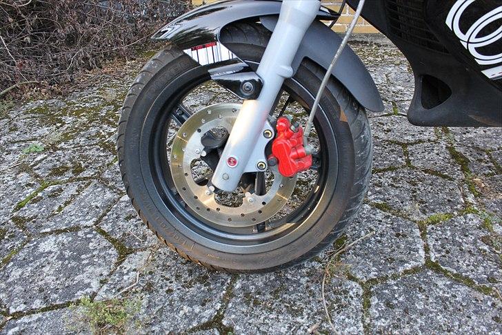 Gilera Dna opdateringsalbum billede 26