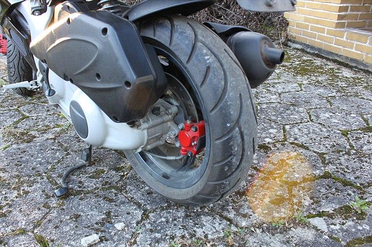 Gilera Dna opdateringsalbum billede 27