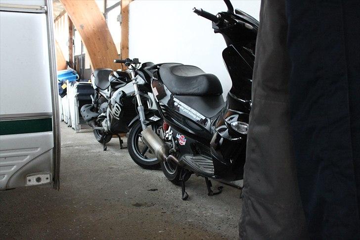 Gilera Dna opdateringsalbum billede 36