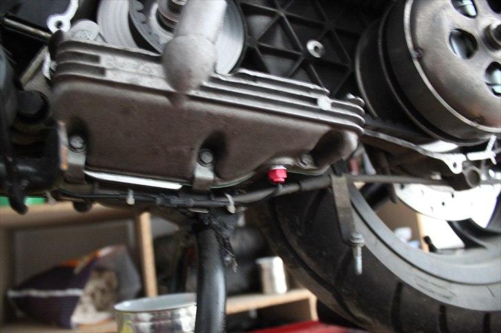 Gilera Dna opdateringsalbum billede 64