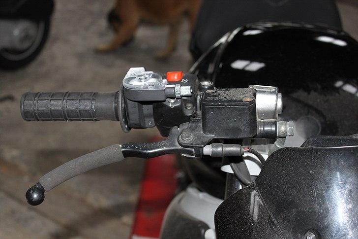 Gilera Dna opdateringsalbum billede 17