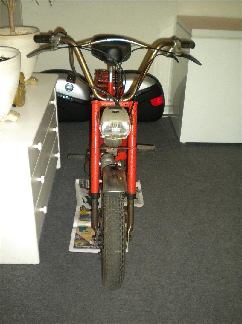 Renovering af Garelli Katia - Da jeg fik den i maj måned billede 8