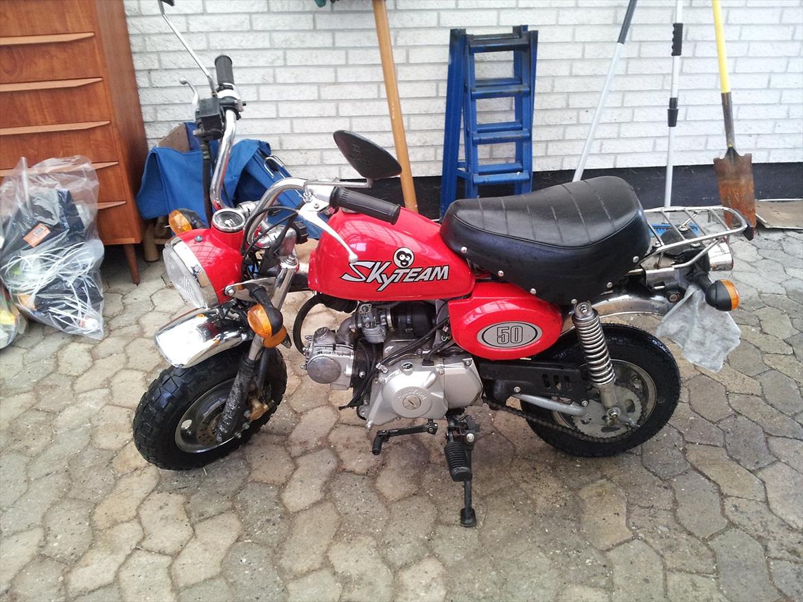 skyteam monkey billede 1