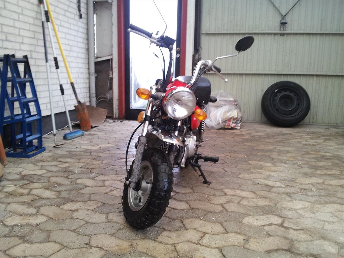 skyteam monkey billede 3