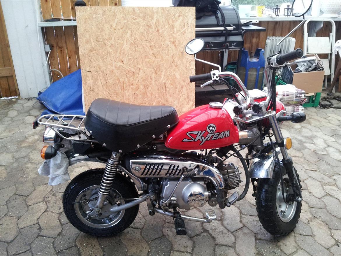 skyteam monkey billede 4