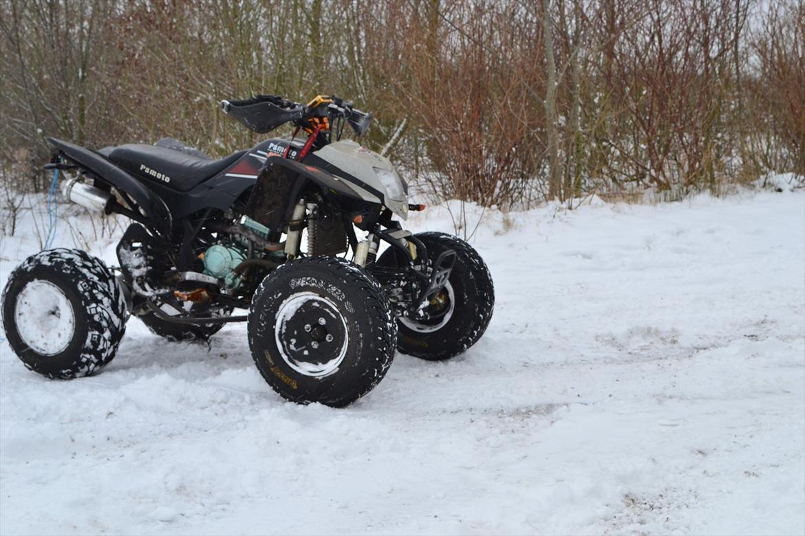 Bashan Ps moto 200st-7 ATV - MOTHER FUCKER SNE!!! billede 1