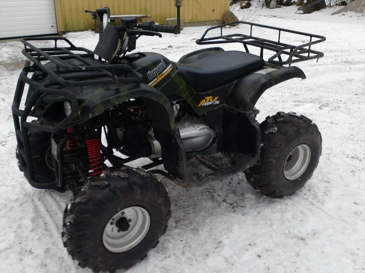 P.lindberg Gepard billede 2