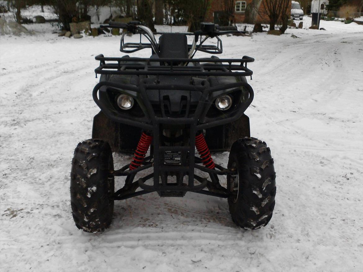 P.lindberg Gepard billede 4