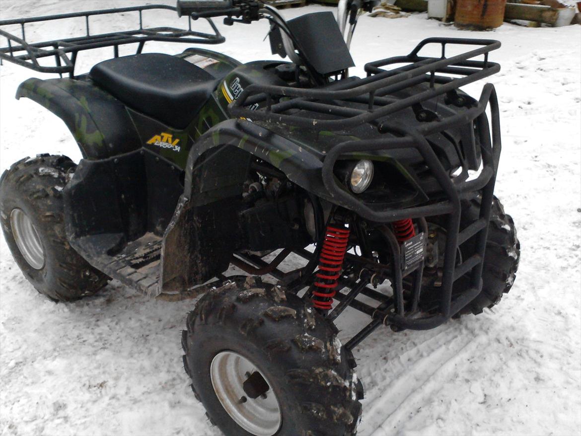 P.lindberg Gepard billede 3