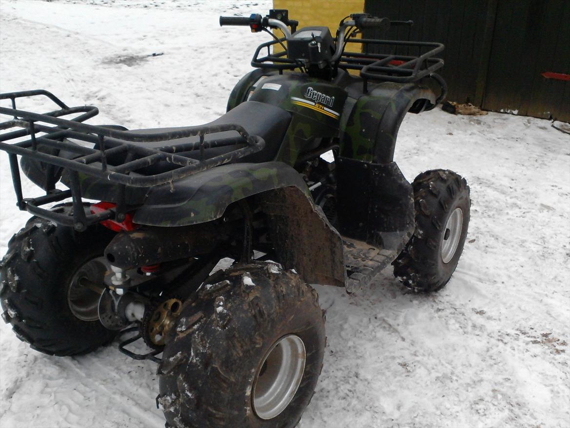 P.lindberg Gepard billede 6