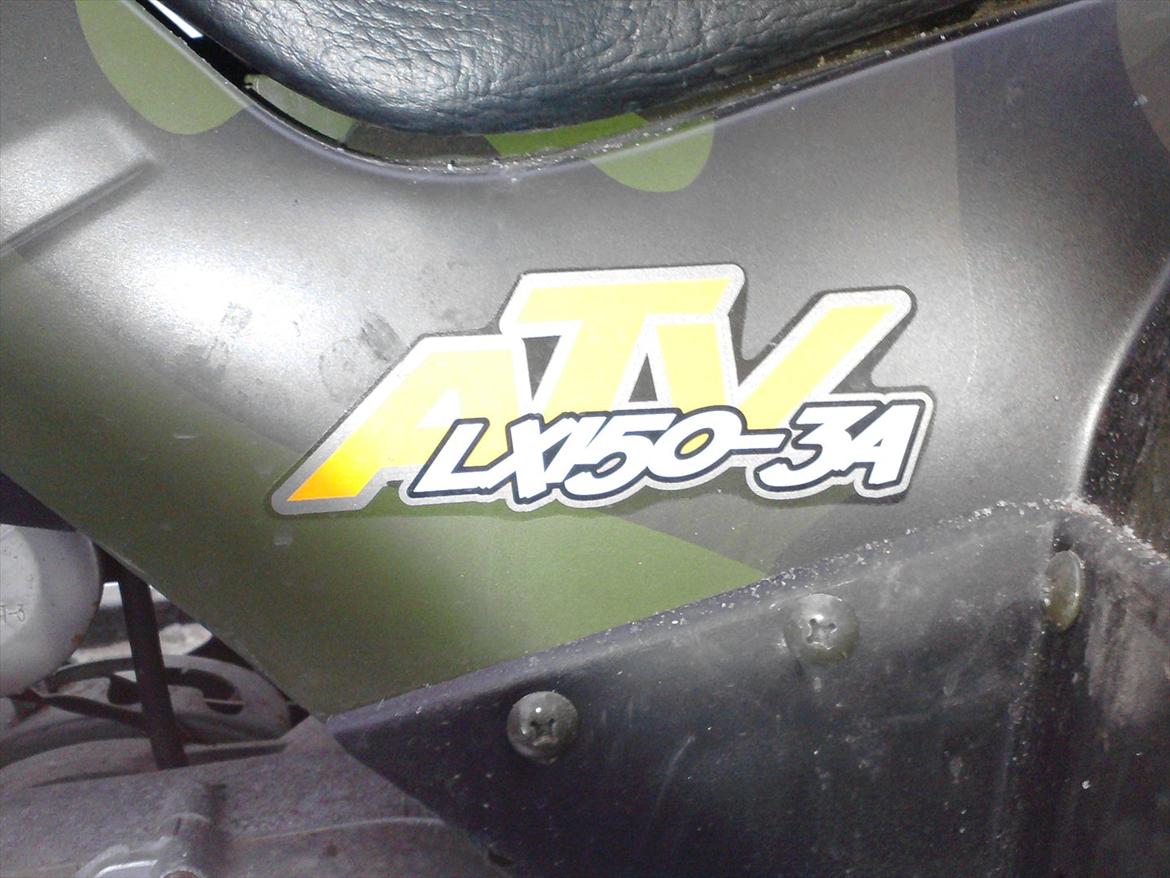 P.lindberg Gepard billede 9