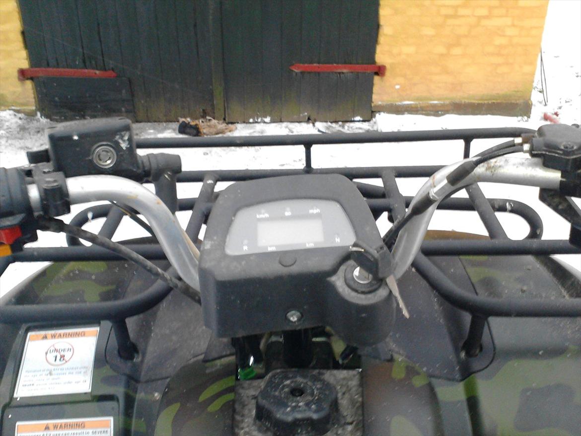 P.lindberg Gepard billede 10