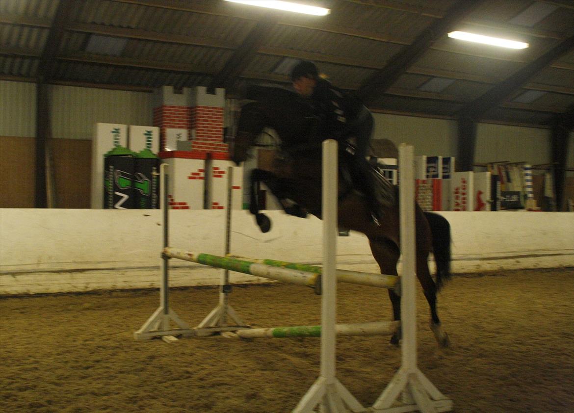 Min Kød-scooter billede 2