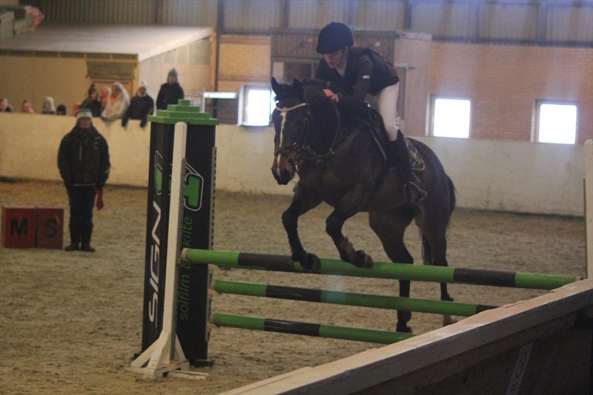 Min Kød-scooter billede 3