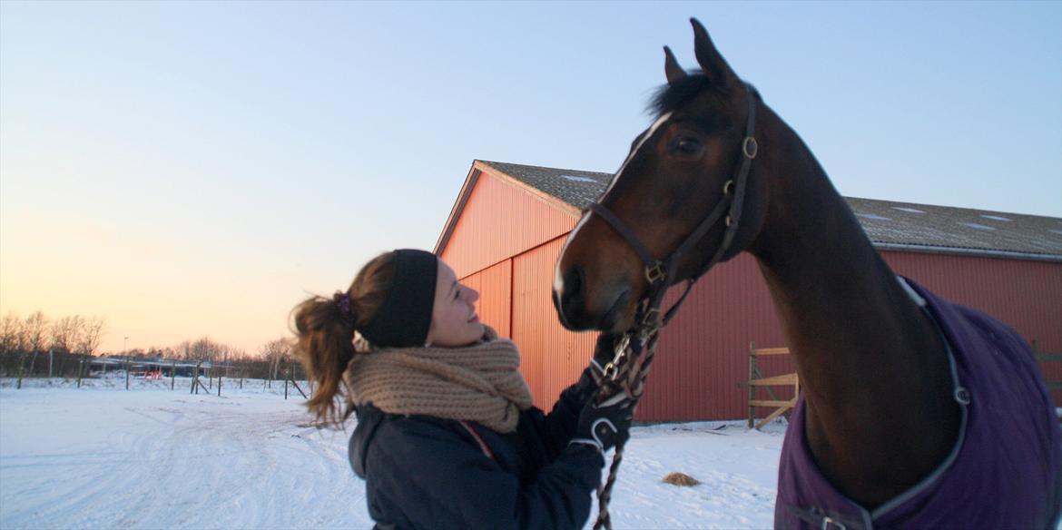 Min Kød-scooter billede 6