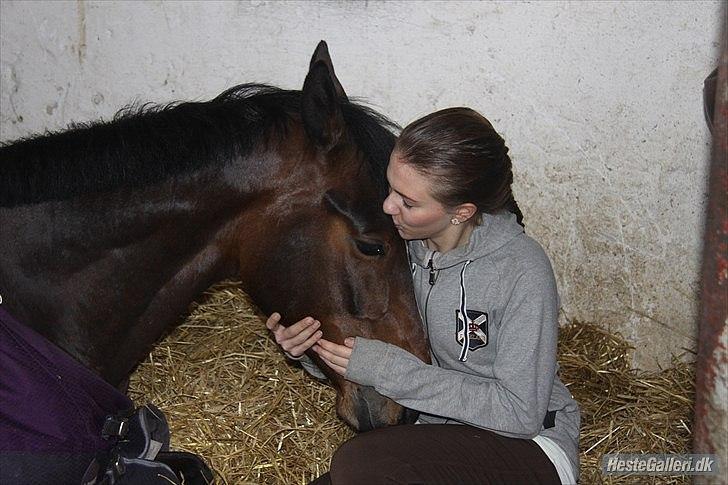 Min Kød-scooter billede 7