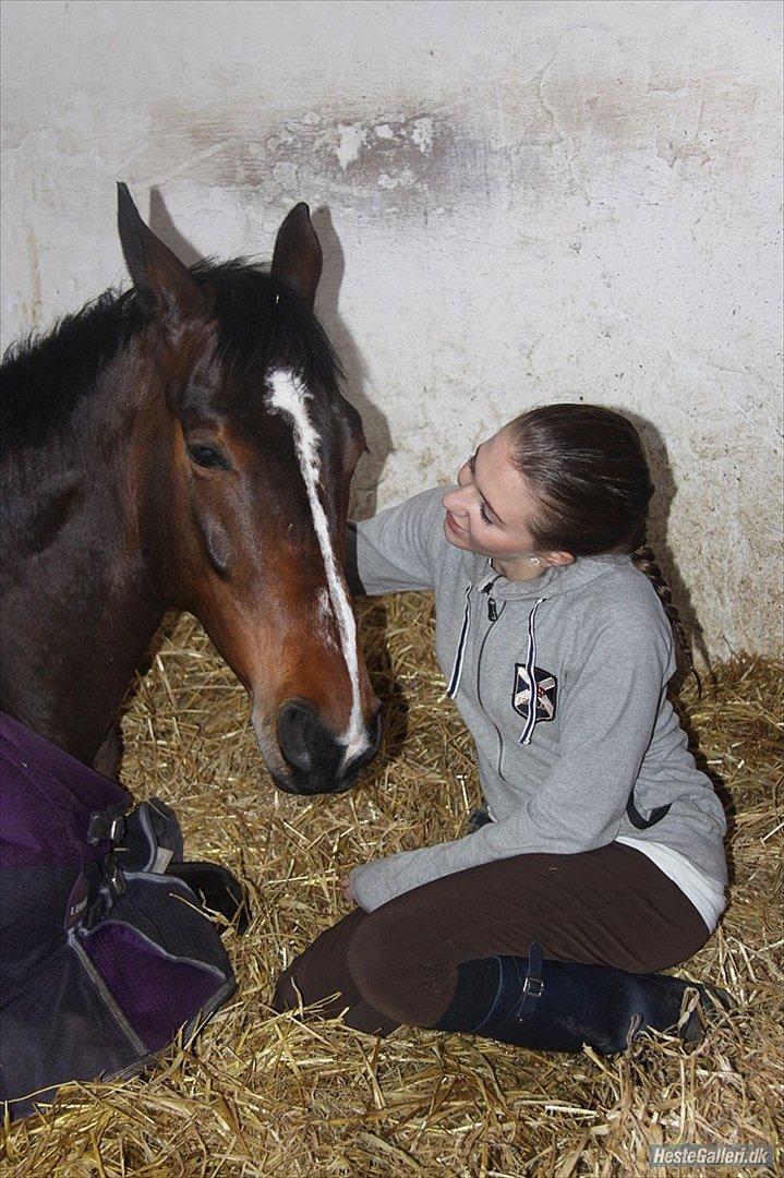 Min Kød-scooter billede 8