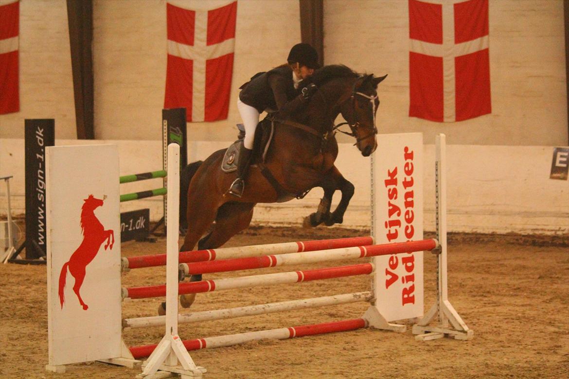 Min Kød-scooter billede 11