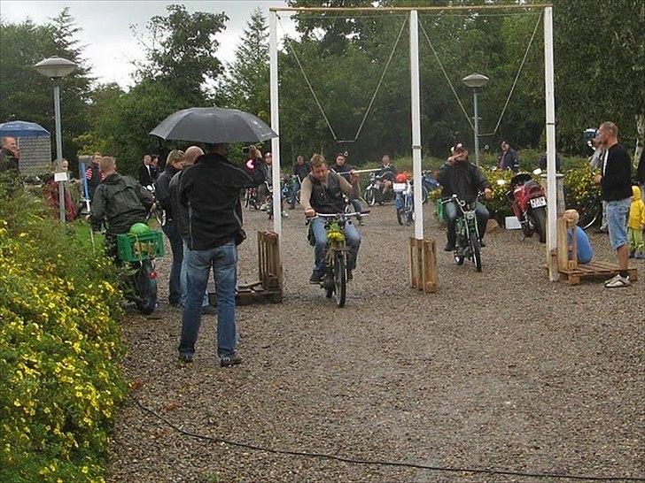 tobøl maxi klub æ´jungs i fole billede 8