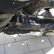 sonic billeder sommer 2011