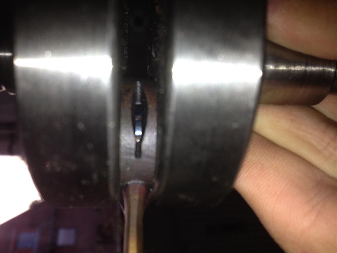 Athena VS Stylepro :-P billede 9