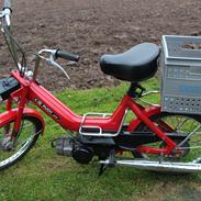 Den fineste Puch Maxi K/P