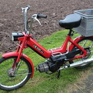 Den fineste Puch Maxi K/P