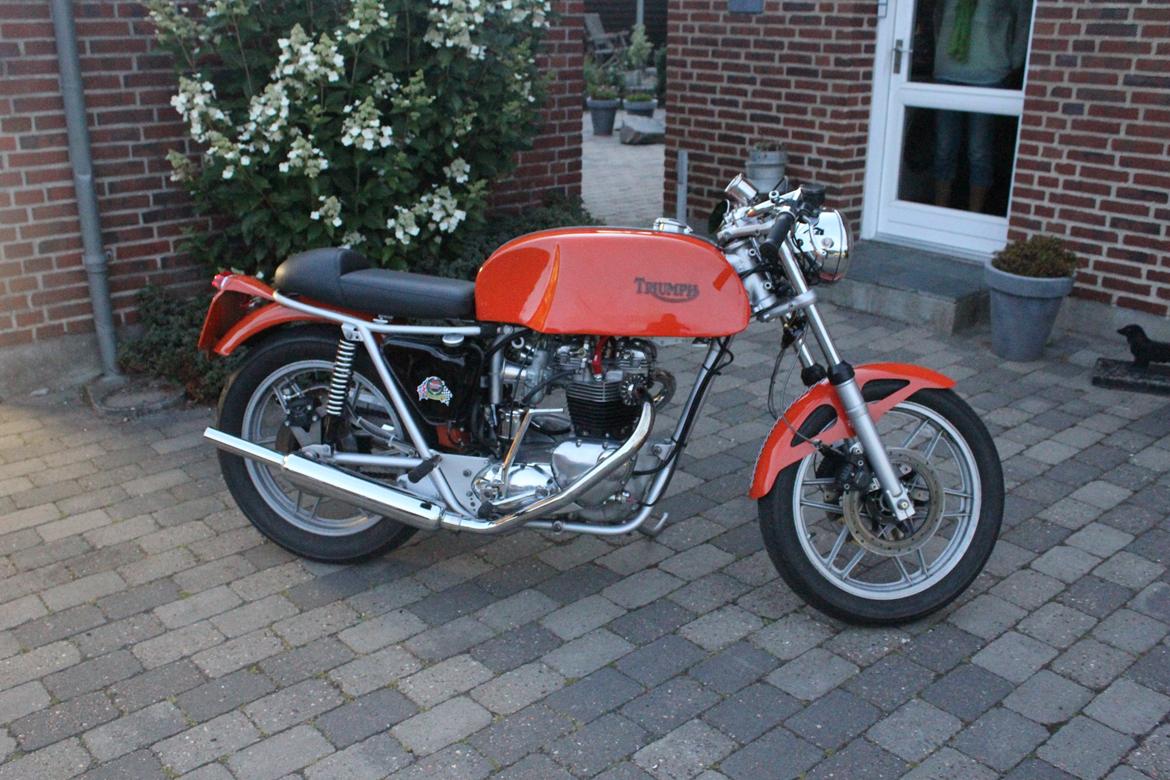 Triumph Bonneville 750 (cafe racer)  billede 3