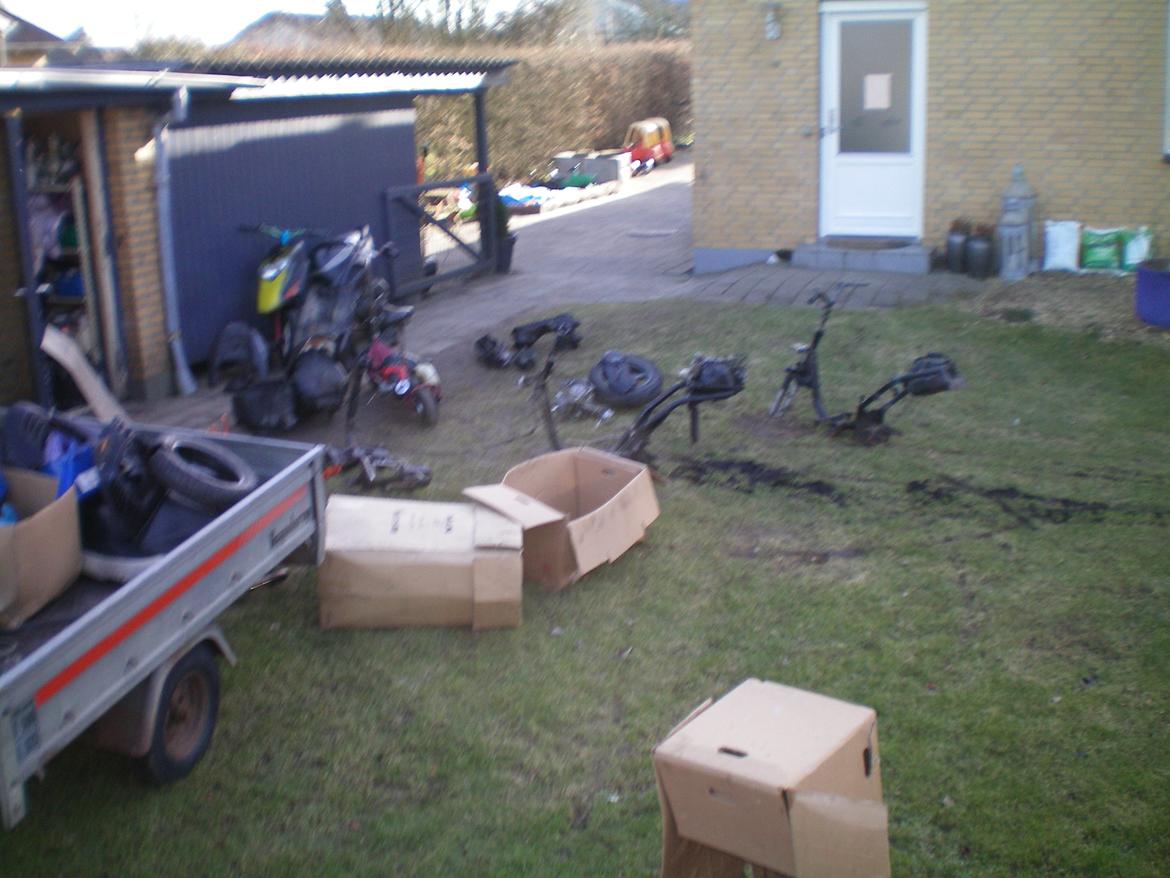 oprydning af skuret billede 6