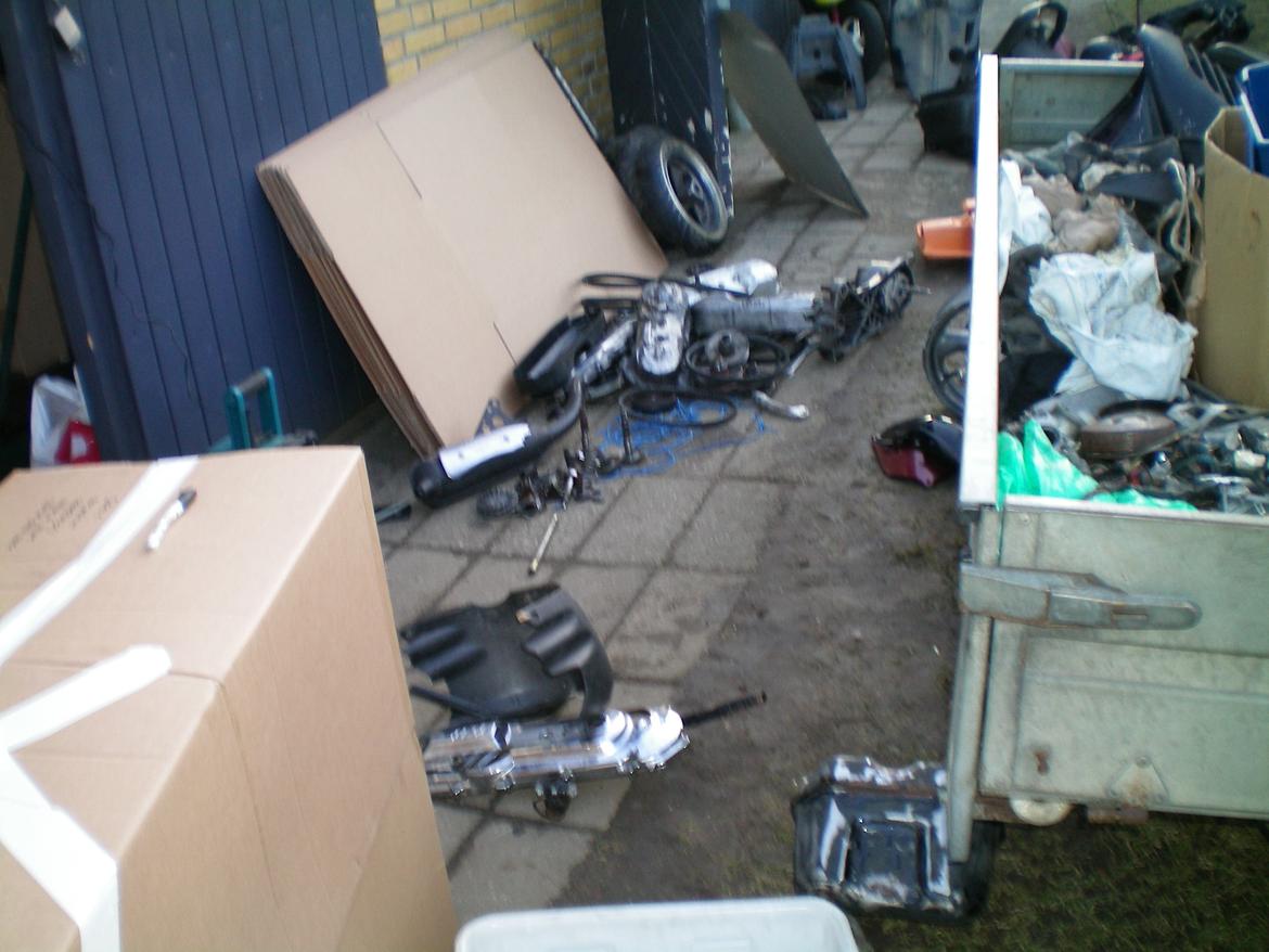 oprydning af skuret billede 7