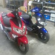 Nuværende projekter.