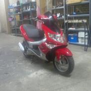 Nuværende projekter.