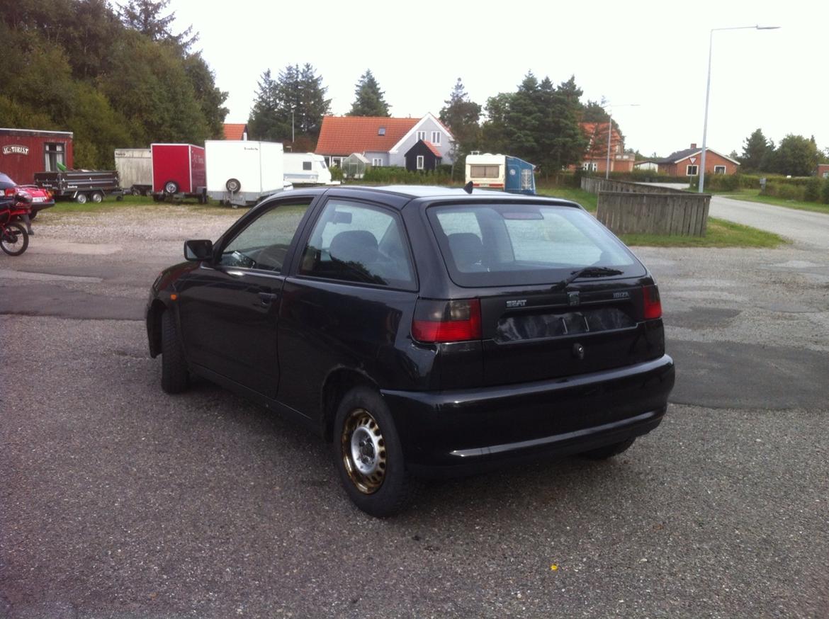 Markræser  billede 9