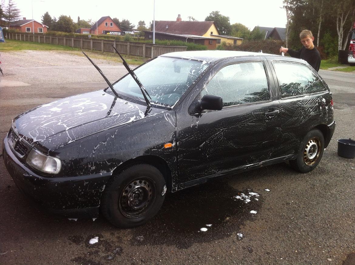 Markræser  billede 8