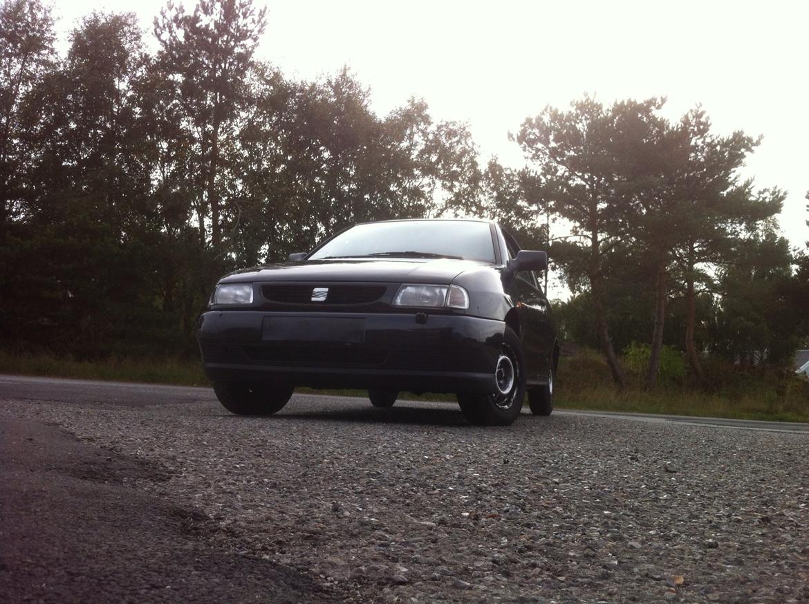 Markræser  billede 7