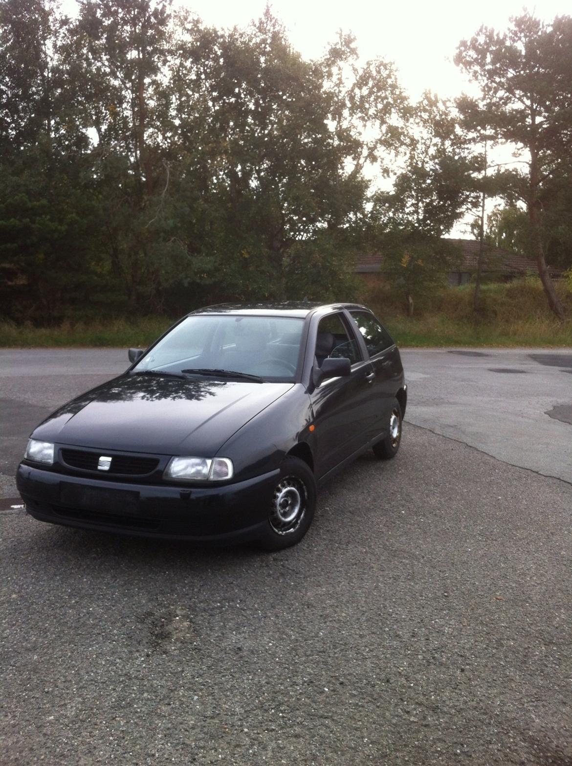 Markræser  billede 6