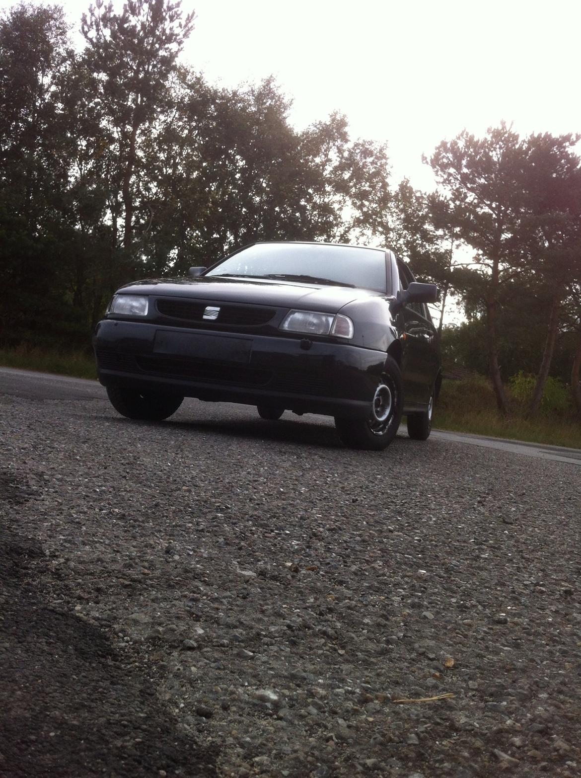 Markræser  billede 5