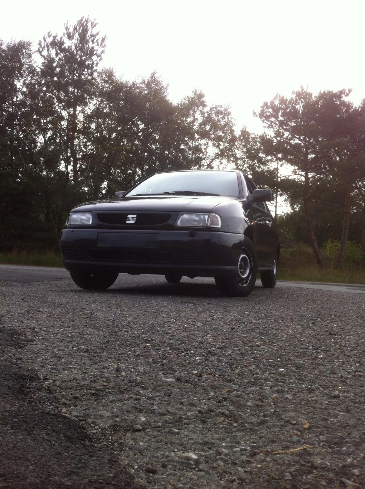 Markræser  billede 4