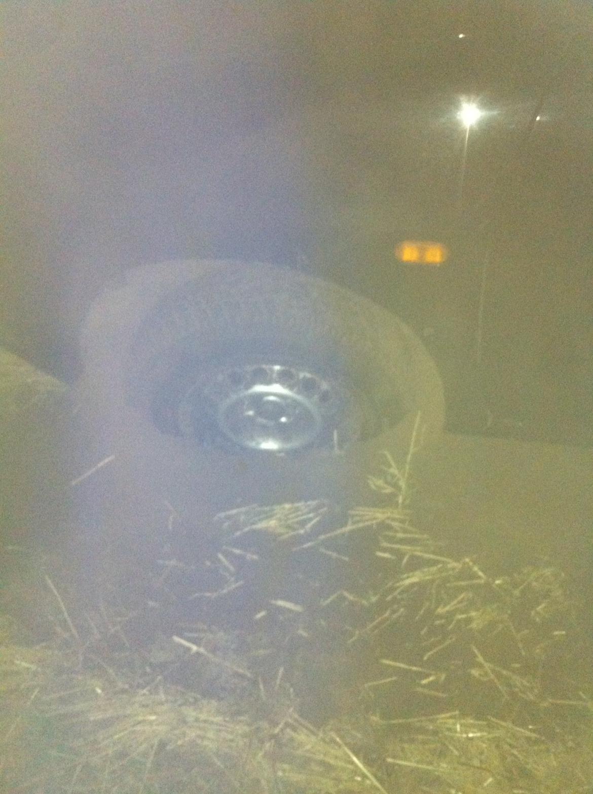 Markræser  billede 3