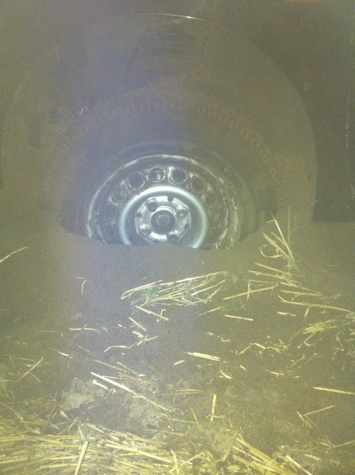 Markræser  billede 2